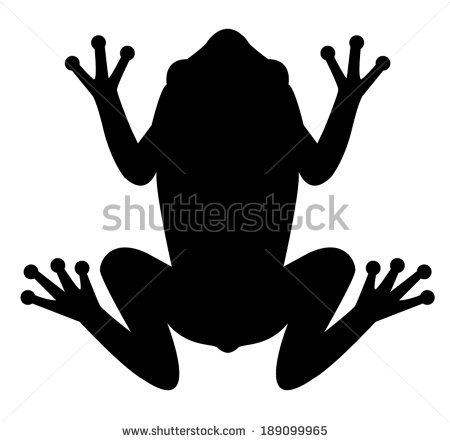 450x442 Frog Icon