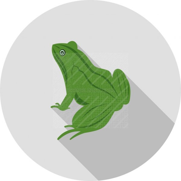 600x600 Frog Flat Shadowed Icon