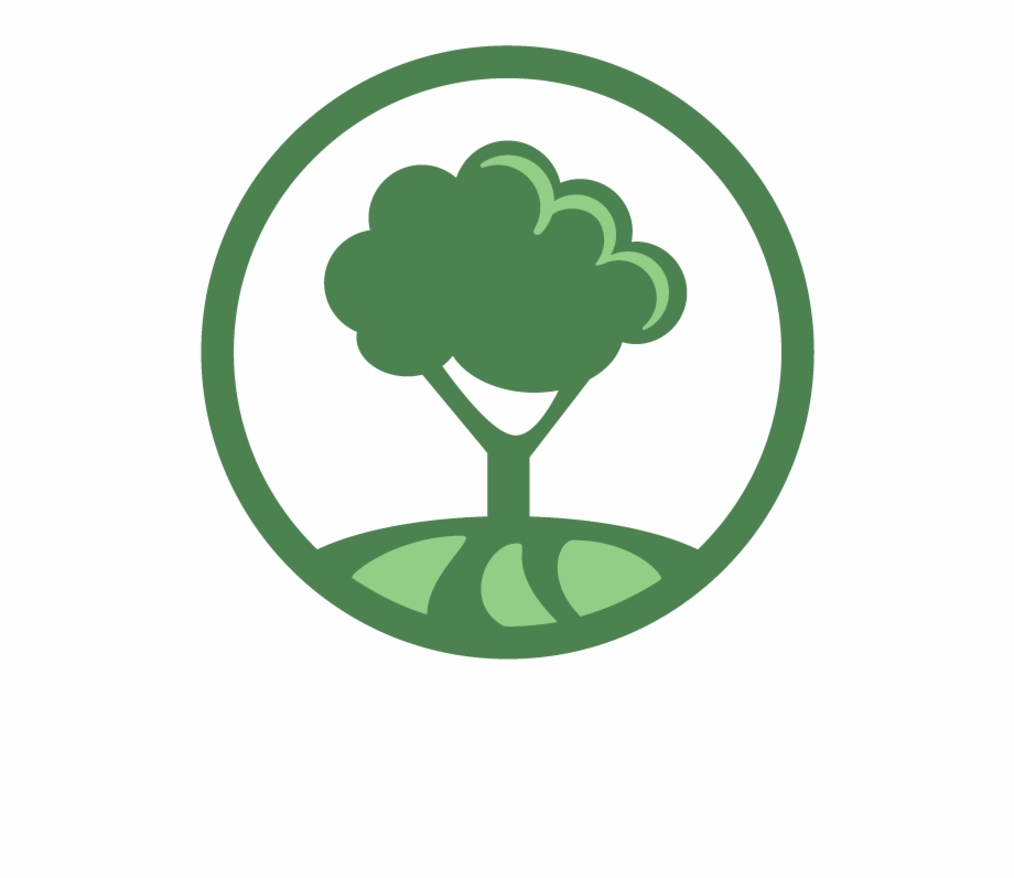 920x796 Tree Icon Gif Free Png Images Clipart Download