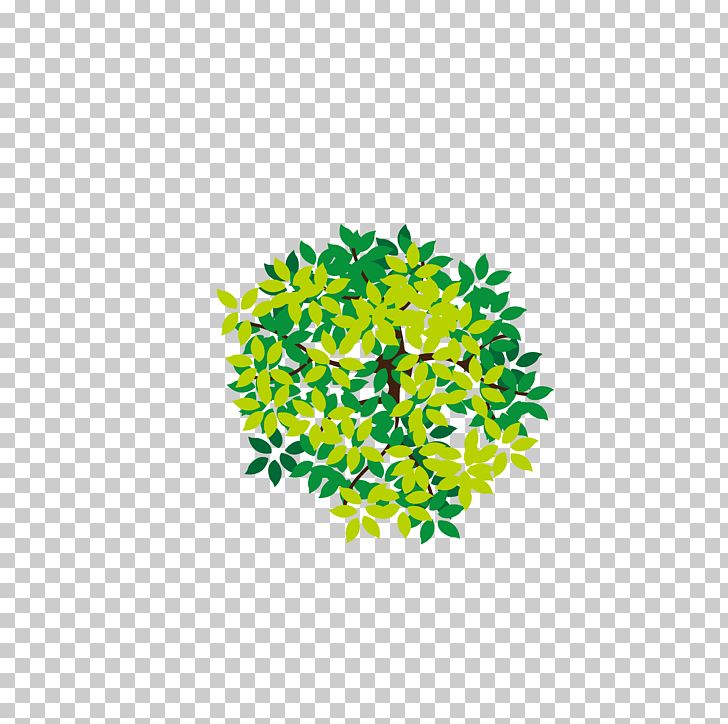 728x724 Tree Icon Png, Clipart, Camphor Tree, Christmas Tree, Circle