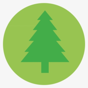 300x298 Tree Icon Png, Transparent Tree Icon Png Image Free Download