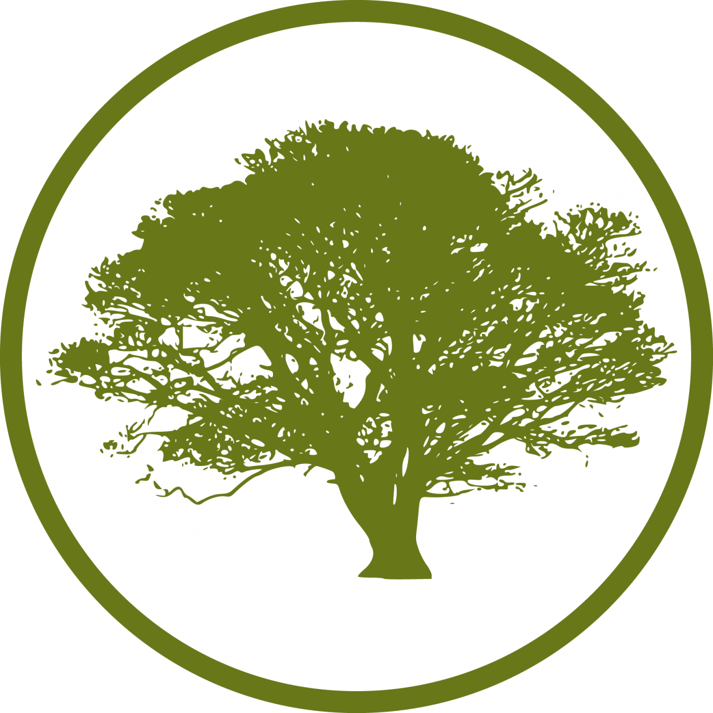 1400x1400 Cropped Martin Forestry Tree Icon Sawtelle Tree Service, Llc