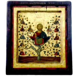 Tree Of Life Icon 300x300 Tree Of Life Icon