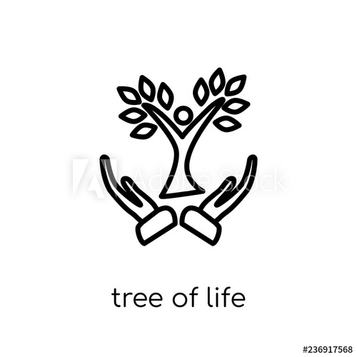 Tree Of Life Icon Trendy Modern Flat Linear Vector Tree Of Life 500x500 Tree Of Life Icon Trendy Modern Flat Linear Vector Tree Of Life