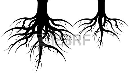 450x281 Stock Photo Trees Black Roots, Tree Roots, Root Image