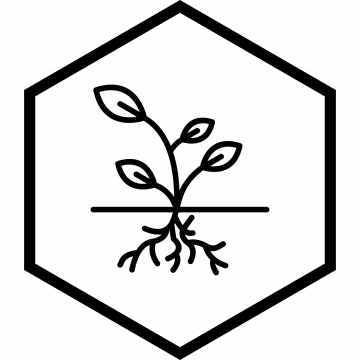 360x360 The Roots Icon Png Images Vector And Free Download