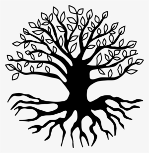300x308 Tree Roots Png Download Transparent Tree Roots Png Images