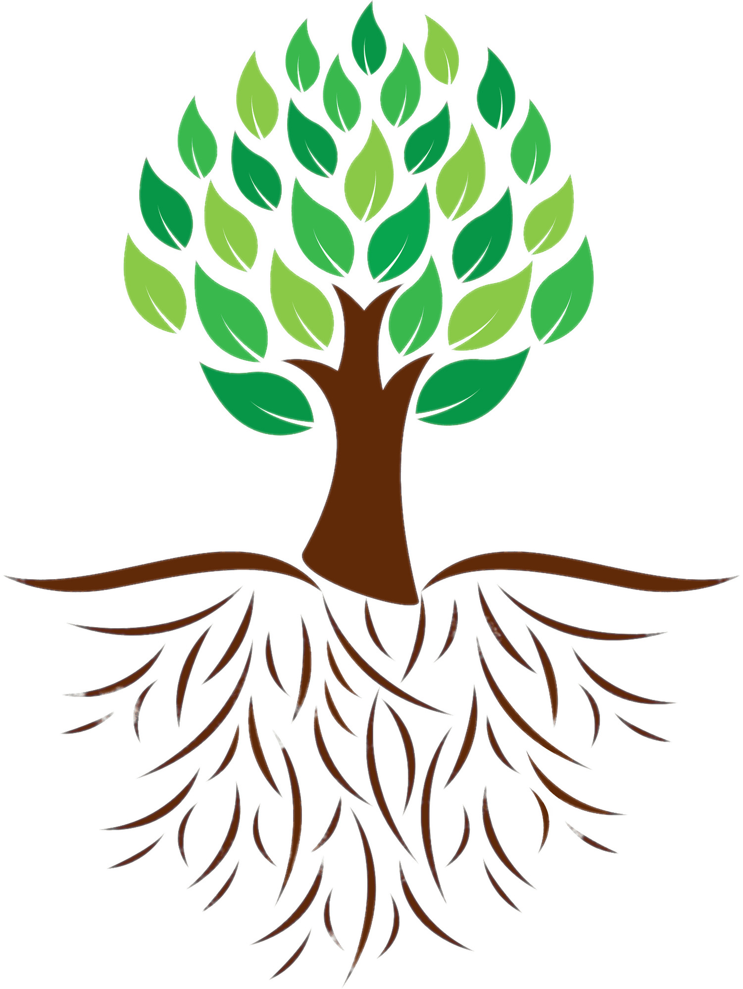 Tree Roots Icon at Vectorified.com | Collection of Tree Roots Icon free ...