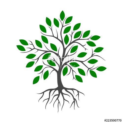 500x500 Tree And Root Icon Stock Photo And Royalty Free Images On Fotolia