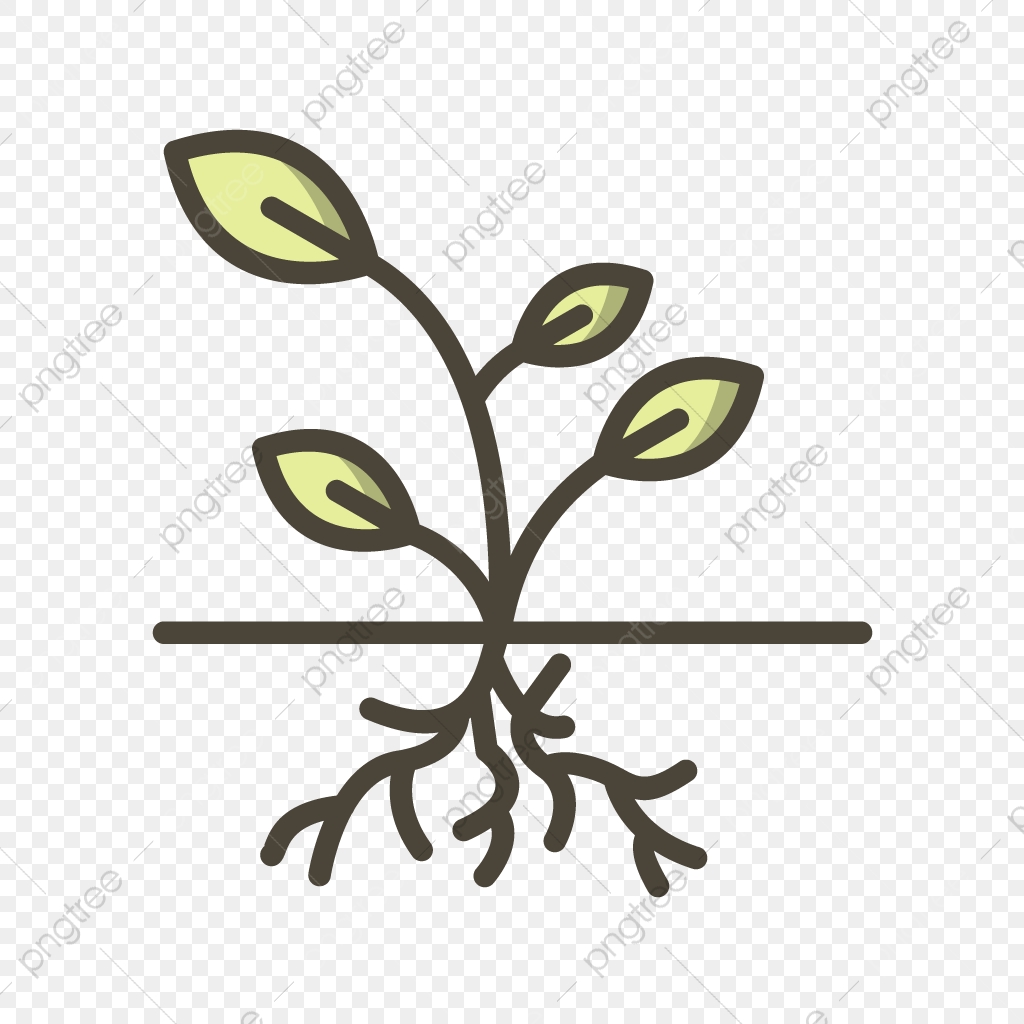 1024x1024 Vector Root Icon, Roots, Root, Plant Png And Vector