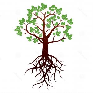 300x300 Vector Tree With Leaves And Roots Gm Soidergi