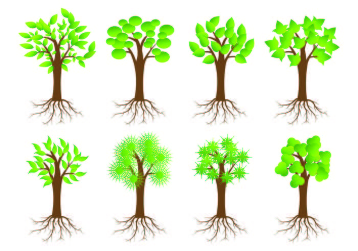 700x490 Icon Of Tree With Roots