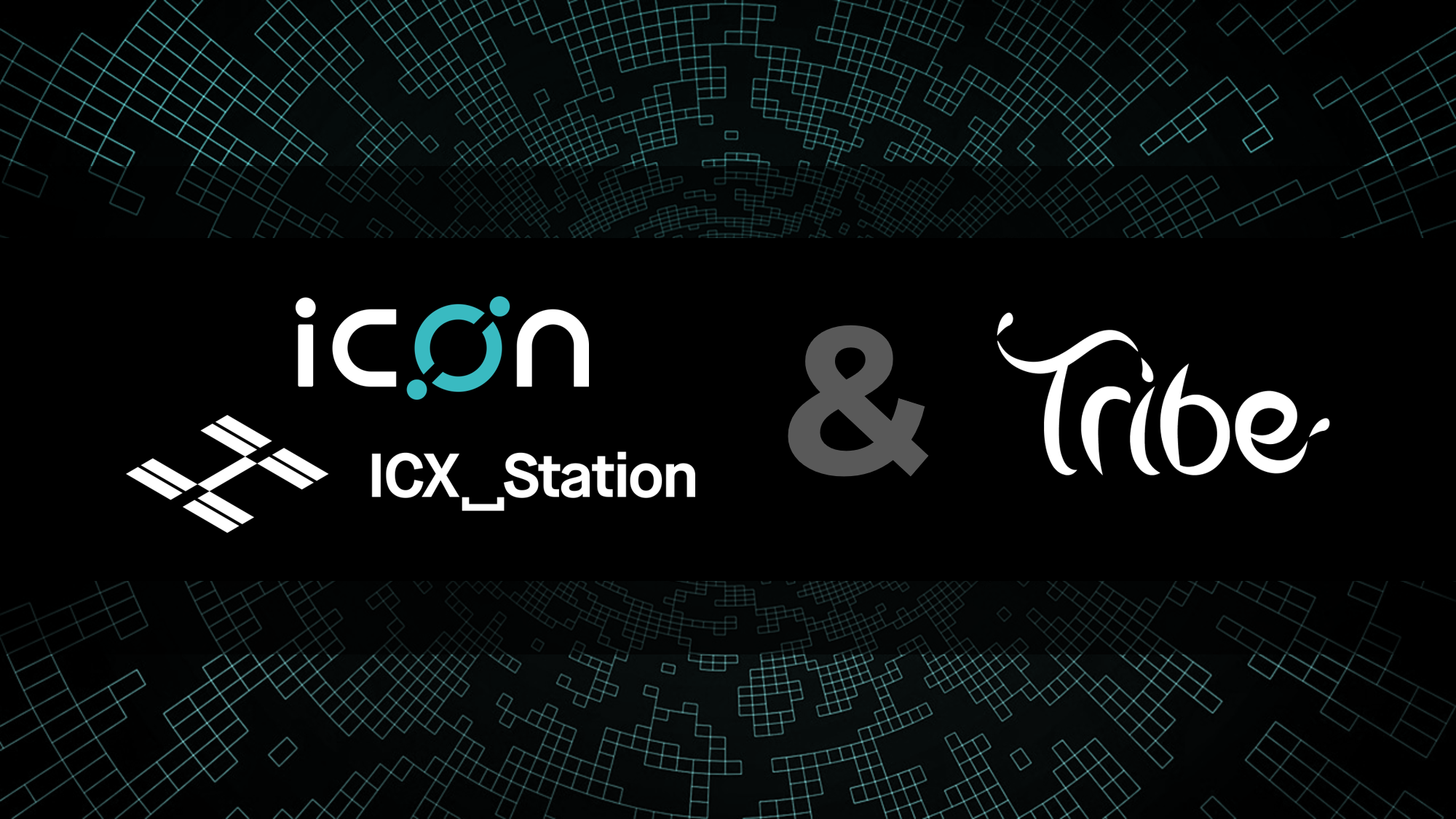 2000x1125 Icon To Partner With Tribe Accelerator In Singapore