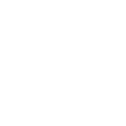 256x256 Free White Trigger Mode Icon