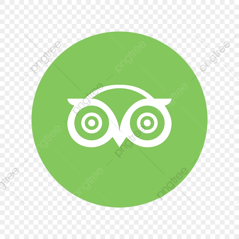 800x800 Tripadvisor Color Icon, Trip, Advisor, Travel Png And Vector