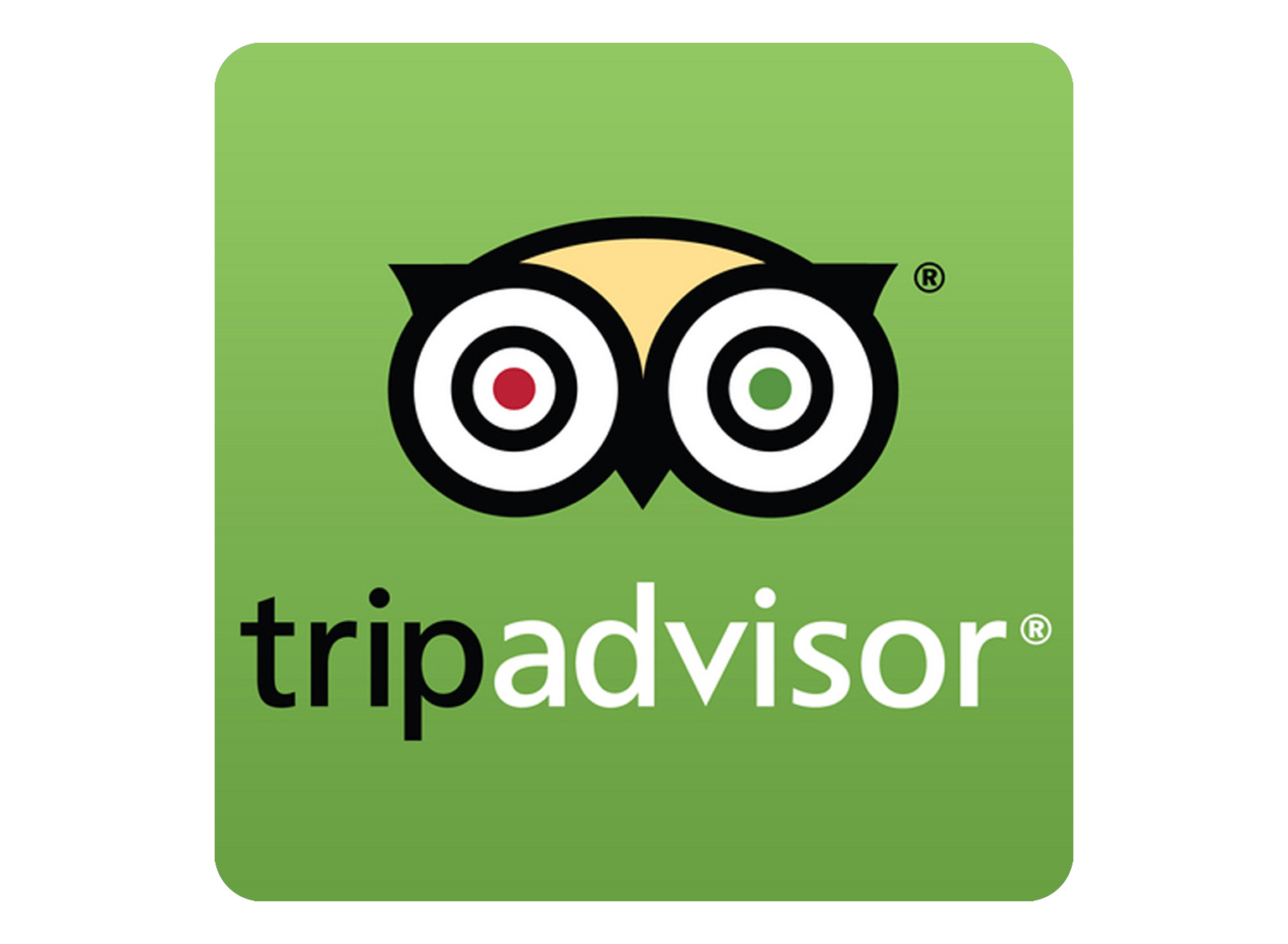 1536x1126 Tripadvisor Icon Vector