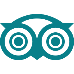 256x256 Tripadvisor Logo Icon Of Flat Style