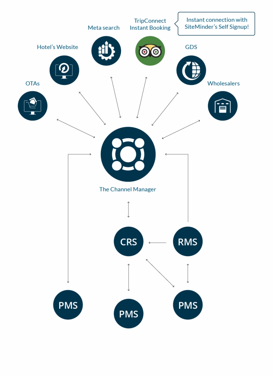 Tripadvisor Icon Png