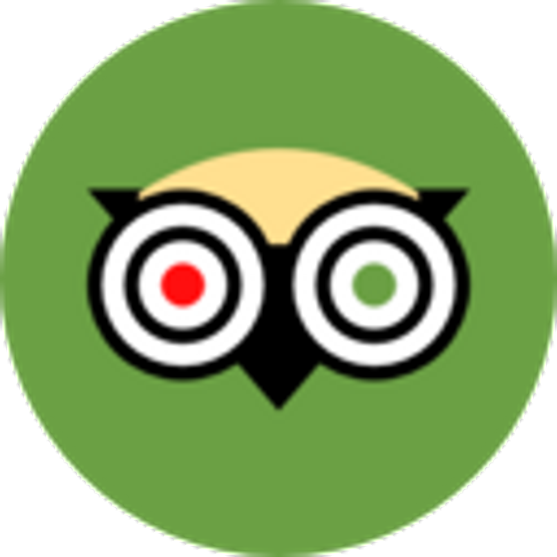 Tripadvisor Icon Png at Vectorified.com | Collection of Tripadvisor