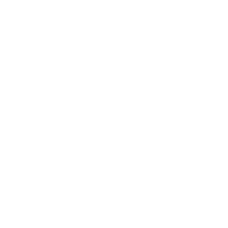 256x256 Free White Trophy Icon