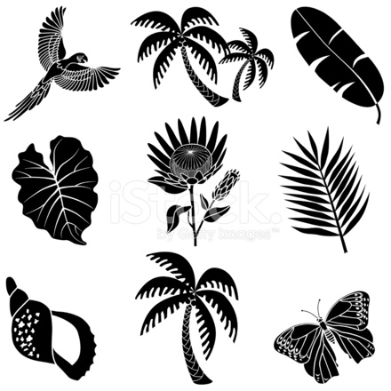 440x440 Tropical Icon Set Stock Vector