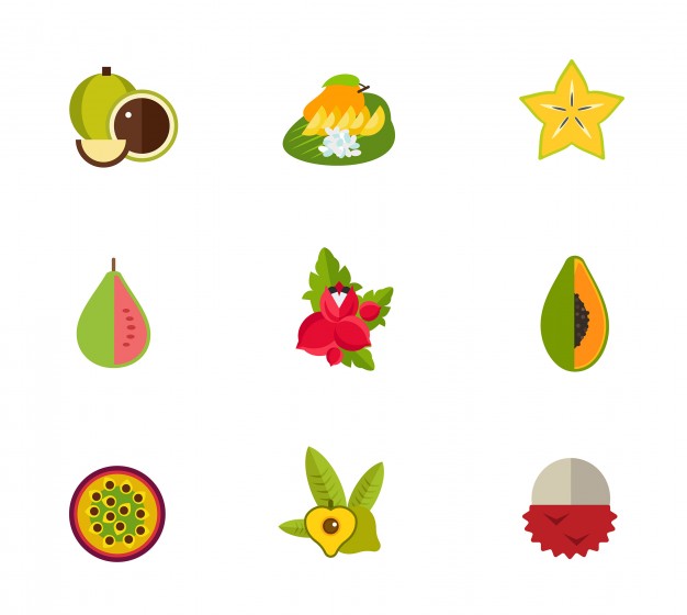 626x560 Tropical Fruit Icon Set Vector Free Download