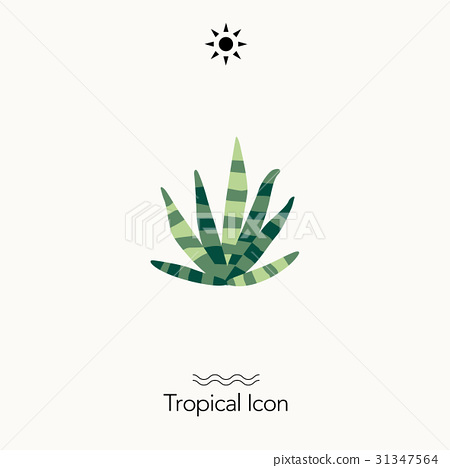 450x468 Tropical Icon