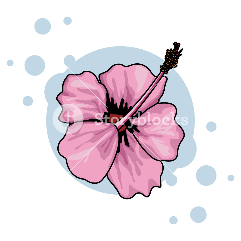 1000x1000 Orchid Tropical Icon Isolated Colorful Vector Illustration Graphic