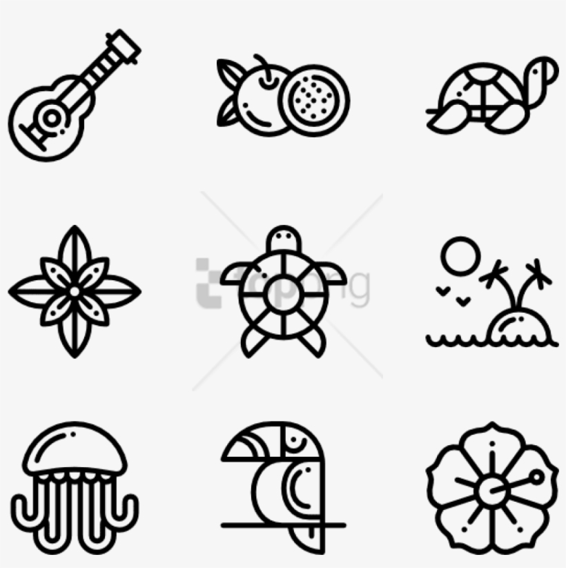820x823 Free Png Tropical Icons