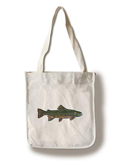 Lantern Press Brook Trout 425x546 Lantern Press Brook Trout