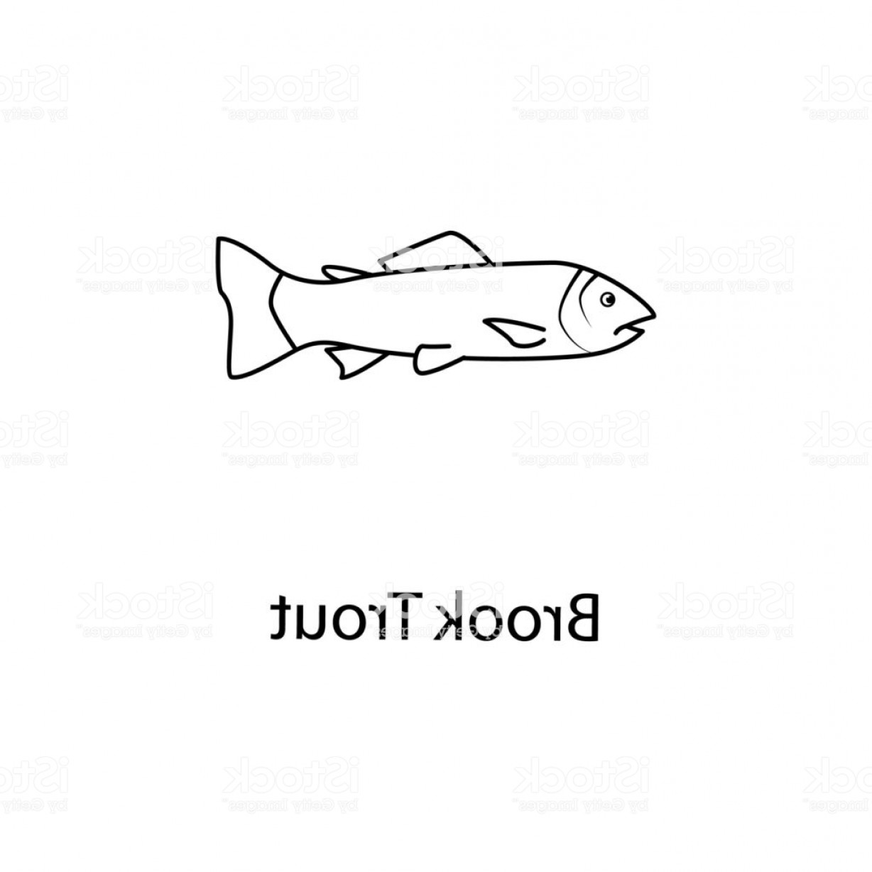 1228x1228 Speckled Trout Vector Studiogrfx