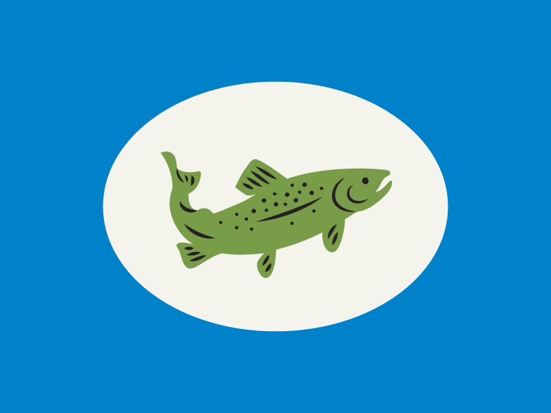 800x600 Trout Icon