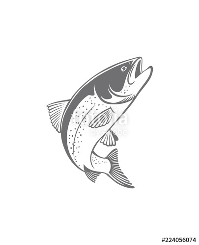 Trout Icon at Vectorified.com | Collection of Trout Icon free for ...