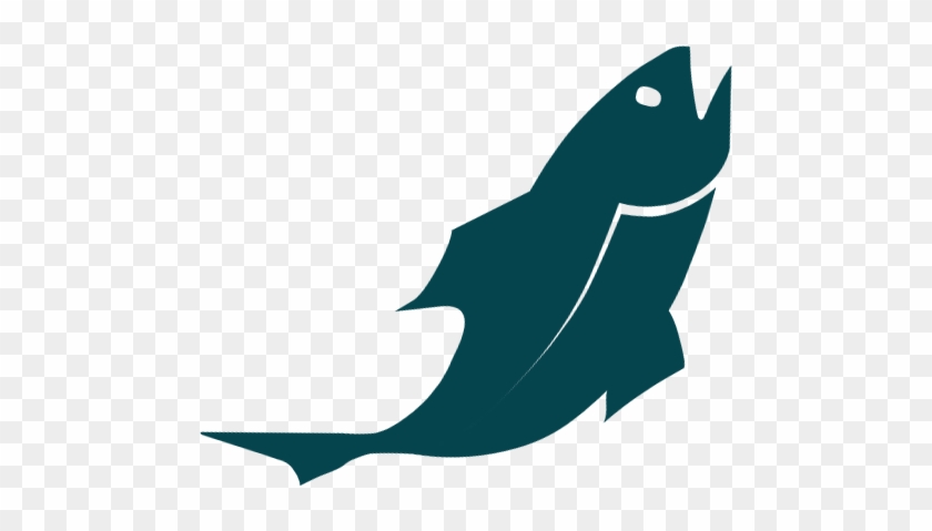 840x479 Fish Icon