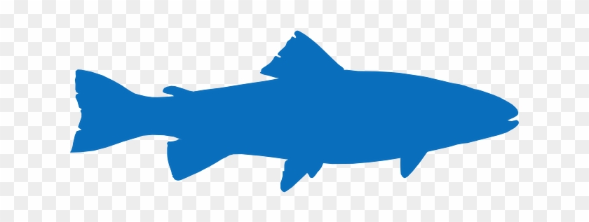 840x317 Fish Icon