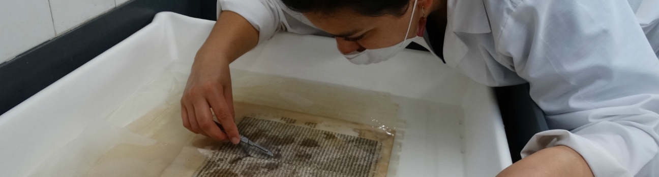 1296x350 Grants Icon