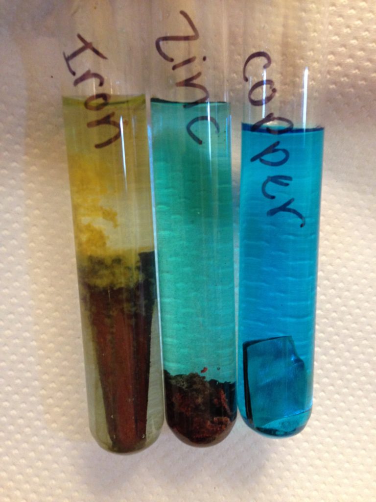 768x1024 Conservation Scholarship Program Summary Of Reports