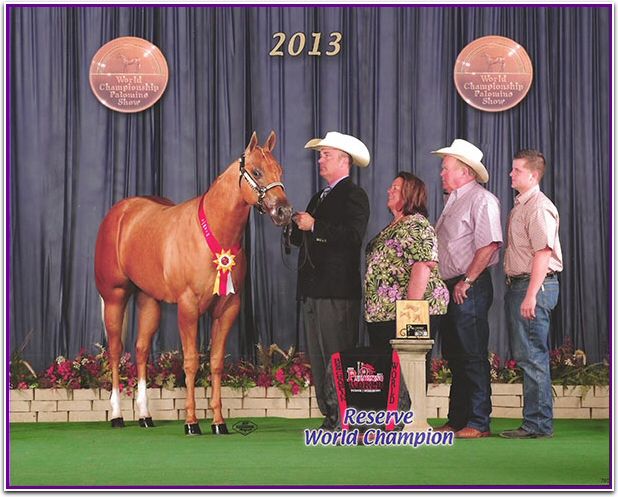 618x497 Fg A Tru Icon Phba Reserve World Champion Fossil Gate Farm