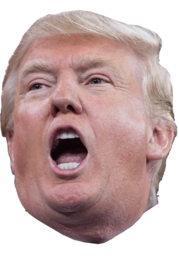 179x256 Donald Trump Icon
