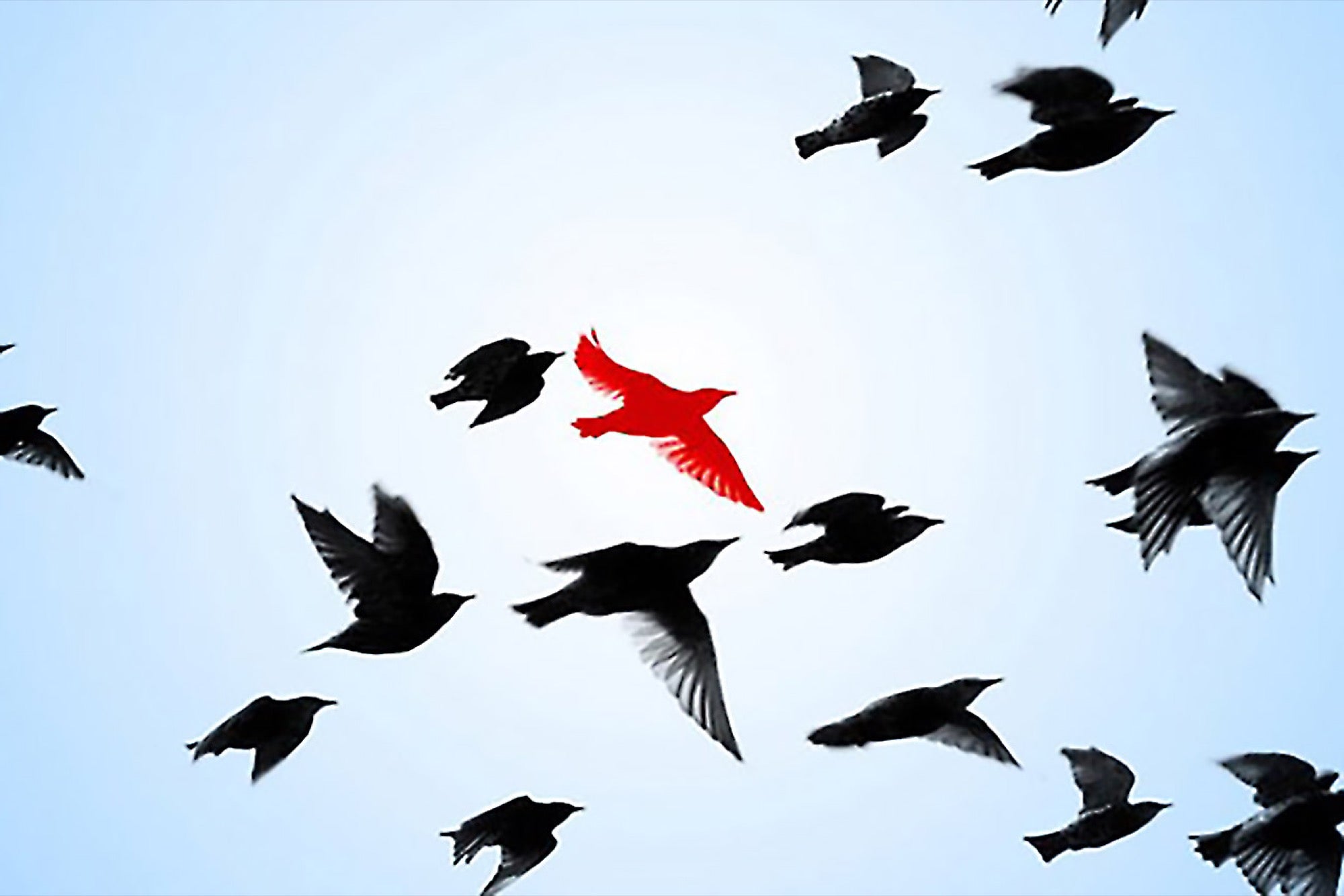 2000x1334 Want To Be An Entrepreneurial Icon Try These St