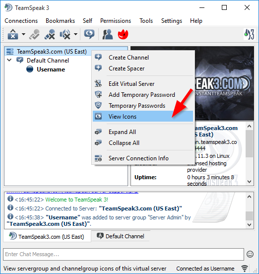 522x552 Teamspeak Server
