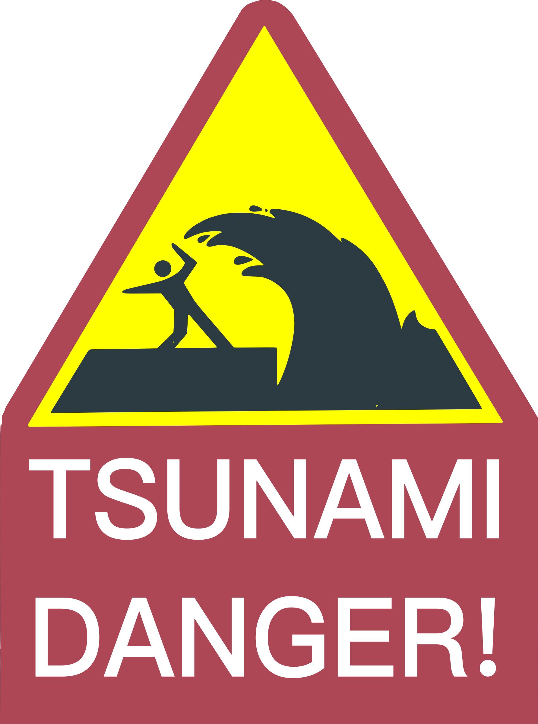 1784x2400 Tsunami Danger Sign Icons Png