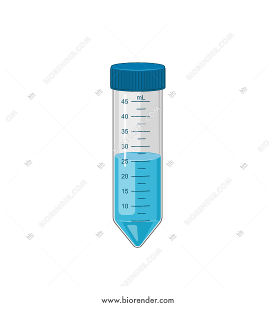 550x620 Biorender Falcon Tube