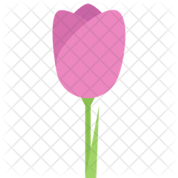 256x256 Tulip Icon Of Flat Style