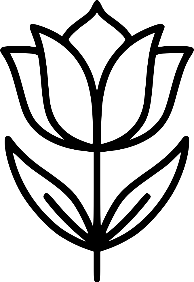 674x980 Tulip Png Icon Free Download