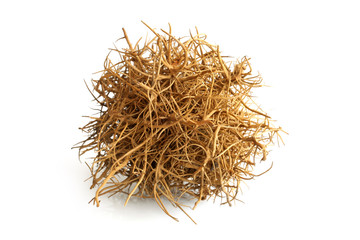 360x240 Tumbleweed Stock Photos And Royalty Free Images, Vectors