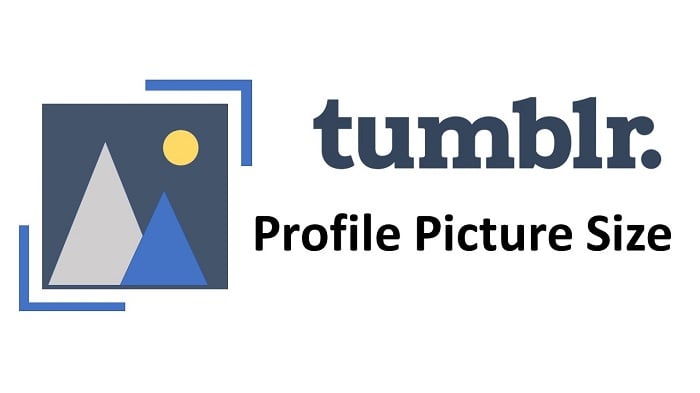 700x393 What Is The Size For A Tumblr Icon Or Profile
