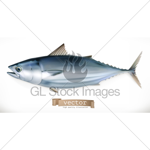 500x500 Tuna Fish Vector Icon Seafood, Realism Style Gl Stock Images