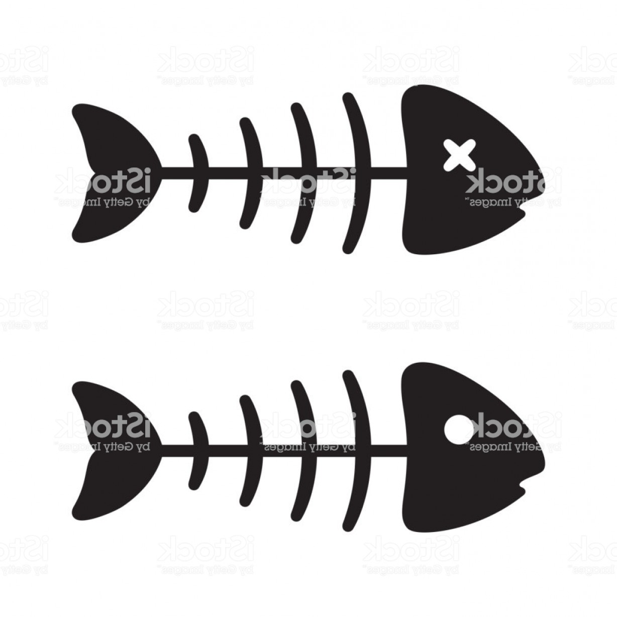 1228x1228 Fish Bone Vector Salmon Tuna Icon Logo Shark Dolphin Ocean Sea