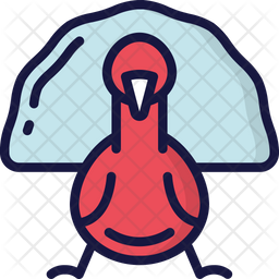256x256 Turkey Icon Of Colored Outline Style
